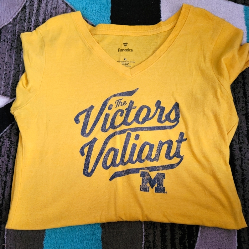 Womans Michigan  Tee
